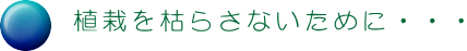 񕜂ւ̓y뒲Aff 