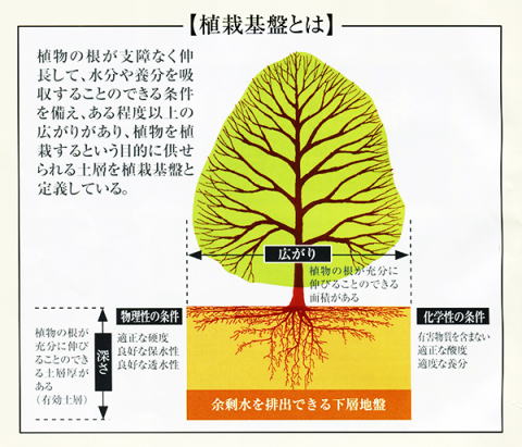 A͊Ր} syokusaikiban@kBs